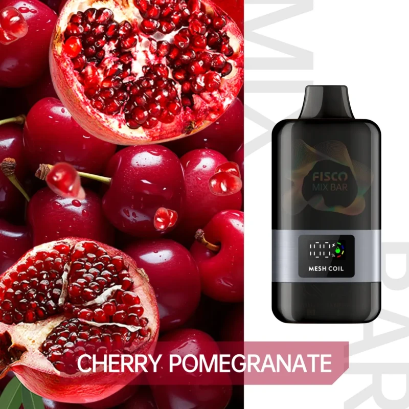 Hidden Risks: Vaping’s Long‑Term Health Impacts 1 FISCO Mix Bar 12000 CHERRY POMEGRANATE