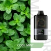 FISCO Mix Bar 12000 COOL MINT