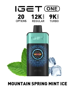 IGET ONE Vape 12000 PUFFS MOUNTAIN SPRING MINT ICE